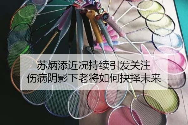 苏炳添近况持续引发关注 伤病阴影下老将如何抉择未来